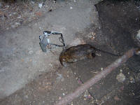 8 Feb 06