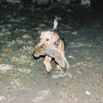 Tak aged 10wk